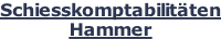 Schiesskomptabilitäten Hammer